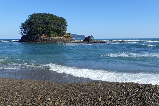 徳島県 牟岐と日和佐で貝ひろい かさぶたろぐ