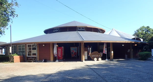 徳島県 牟岐と日和佐で貝ひろい かさぶたろぐ