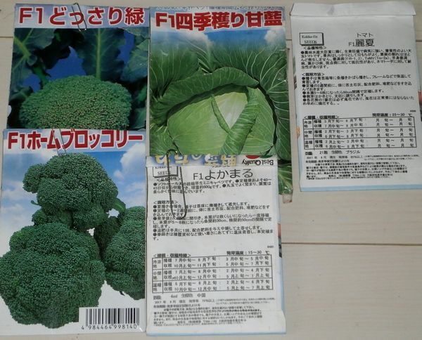 春の種蒔き第一弾 キャベツ ブロッコリー 馬鈴薯 ブルーベリーの育て方 栽培 ブルーベリー ノート Blueberrynote 春の種蒔き第一弾 キャベツ ブロッコリー 馬鈴薯 ブルーベリーの育て方 栽培 ブルーベリー ノート Blueberrynote