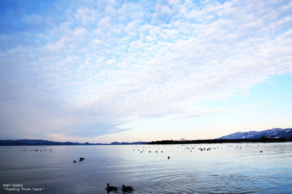 水辺にて_c0356480_21071979.jpg