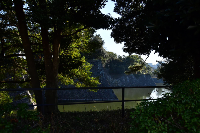 竹林へ 続き_b0223512_00342623.jpg