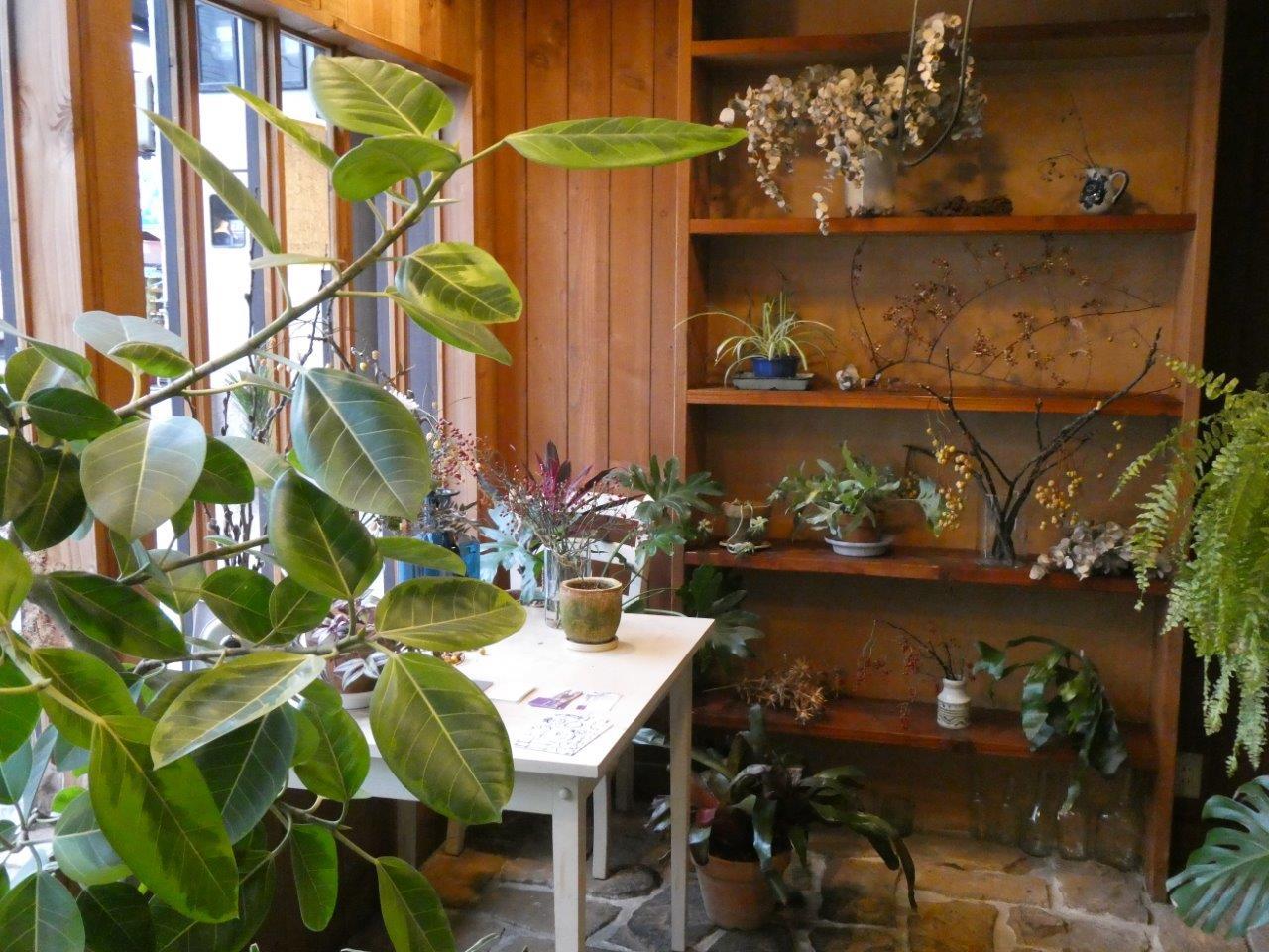 OASI （オアジ）　使い勝手いい♪_d0106134_15355503.jpg