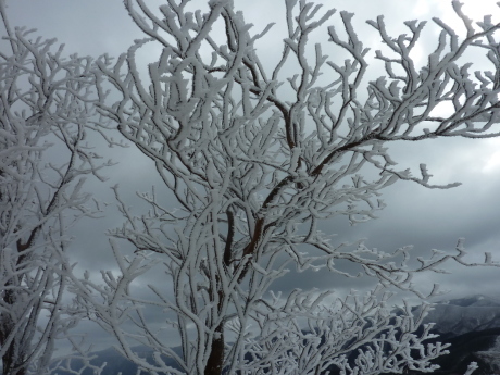 雪と氷が織りなす白銀の峰　『樹氷の高見山』_c0218841_11073115.jpg
