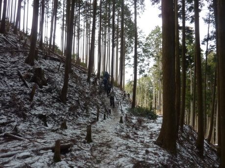 雪と氷が織りなす白銀の峰　『樹氷の高見山』_c0218841_11085618.jpg