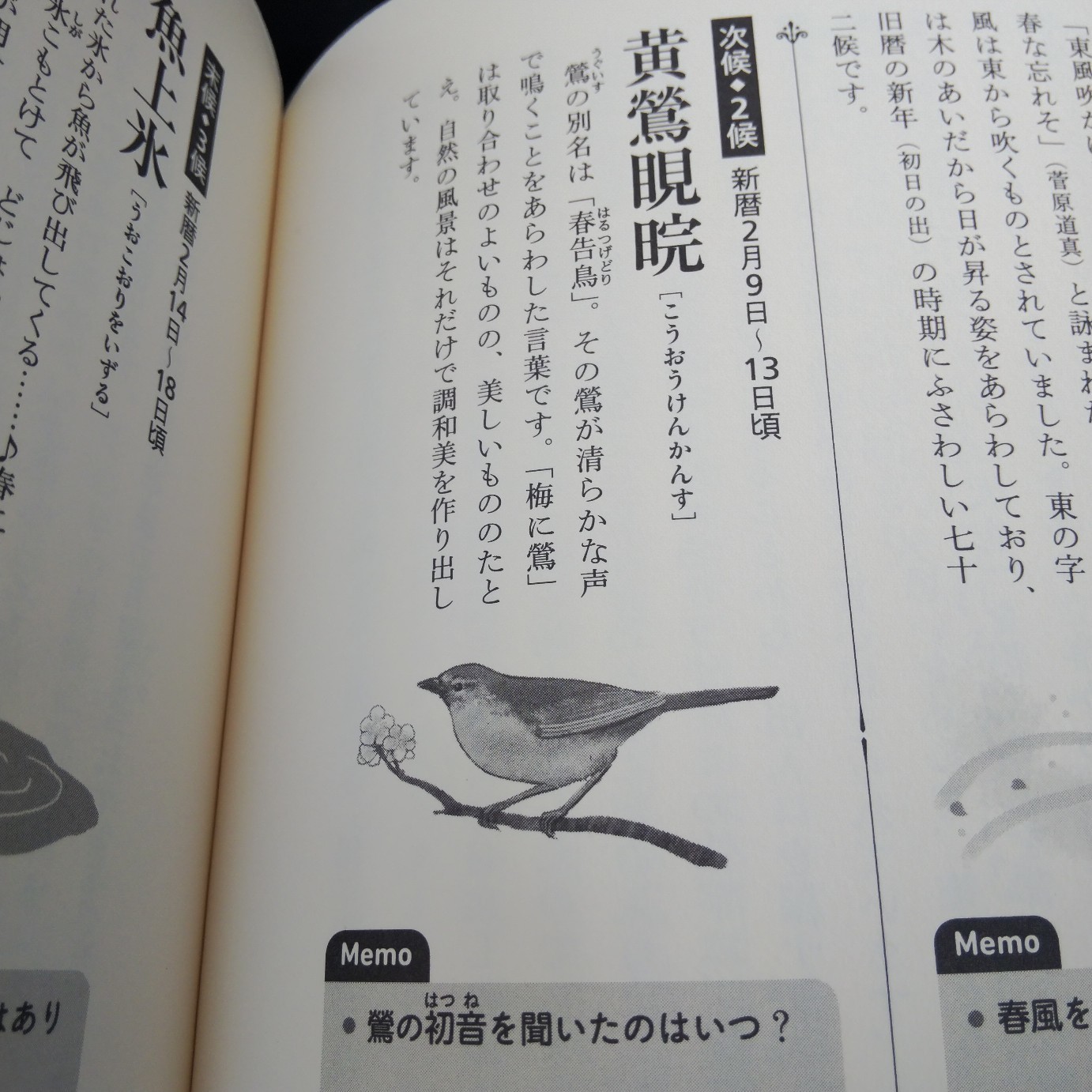 200210 七十二候「黄鶯睍睆(うぐいすなく)」です🌸_f0164842_13375992.jpg