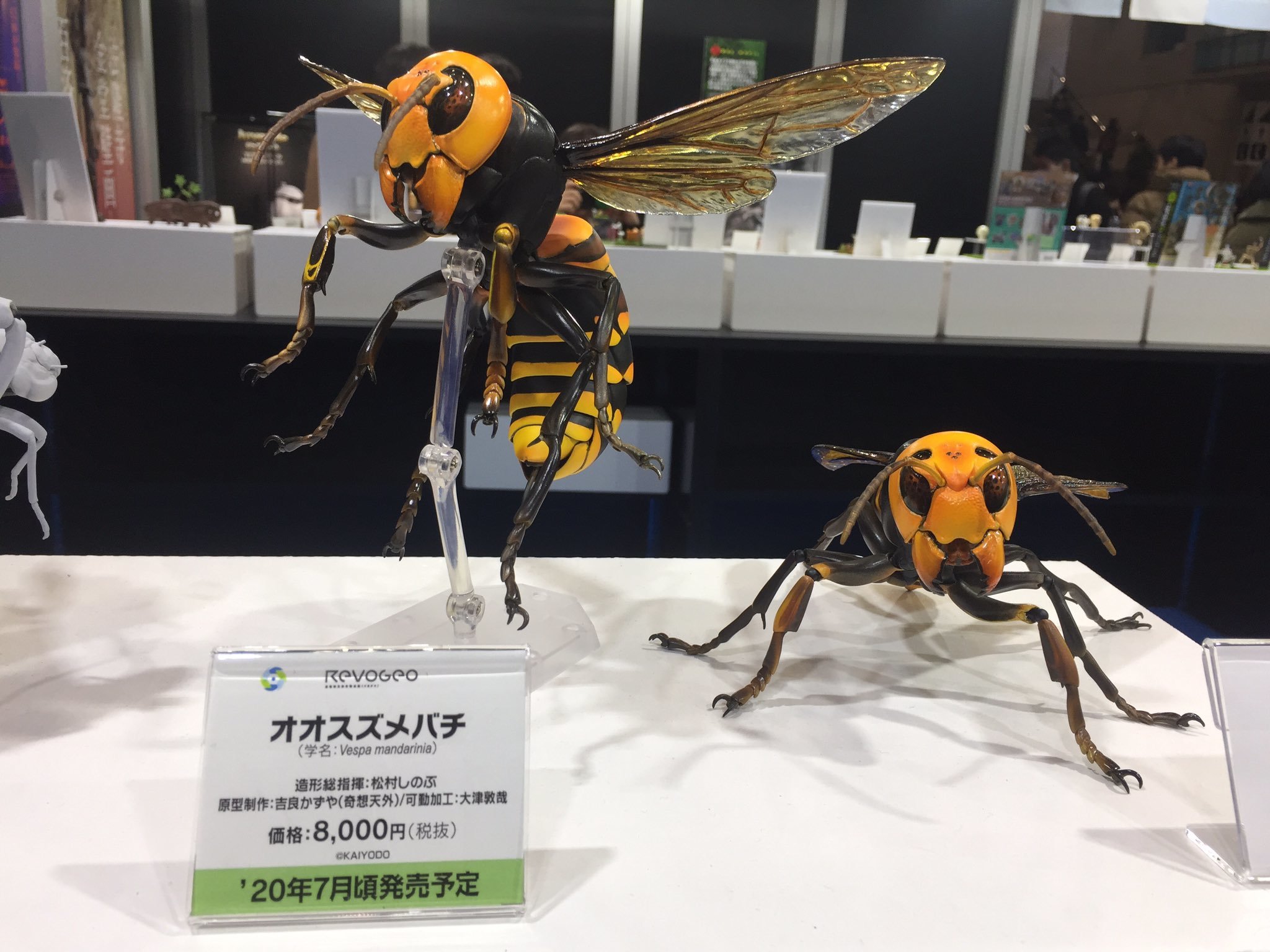 アイマグブログ イラストレーター デザイナー 似顔絵師 芸術家 佐伯ウサギ アイマグブログ イラストレーター デザイナー 似顔絵師 芸術家 佐伯ウサギ