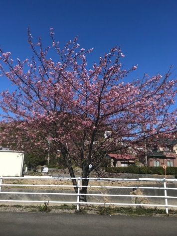 22世紀の丘公園へ_b0208246_09235980.jpg