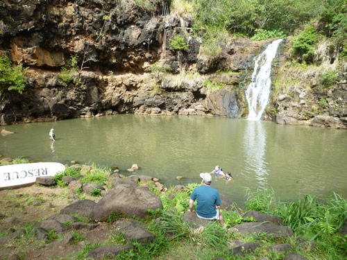 Waimea Valley（ワイメア・バレー）で滝を見に行く＠ハワイでごはん2015春_c0152767_18460689.jpg