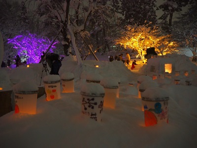 弘前城雪燈籠まつり_2020.02.08_d0131668_1792427.jpg