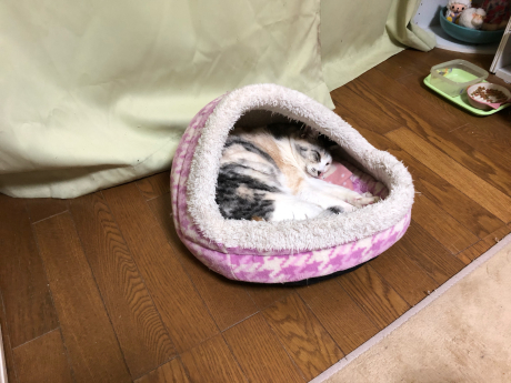 はじまりは12月_e0355177_18152929.jpg