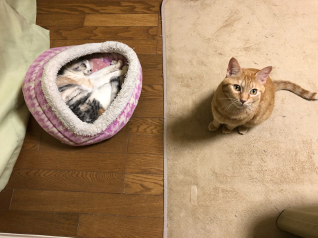 はじまりは12月_e0355177_18153130.jpg
