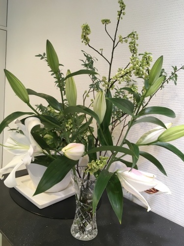 今週の花_f0347891_21551722.jpeg
