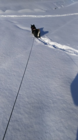 雪はふるふる、雪は降る_b0343293_22030900.jpg