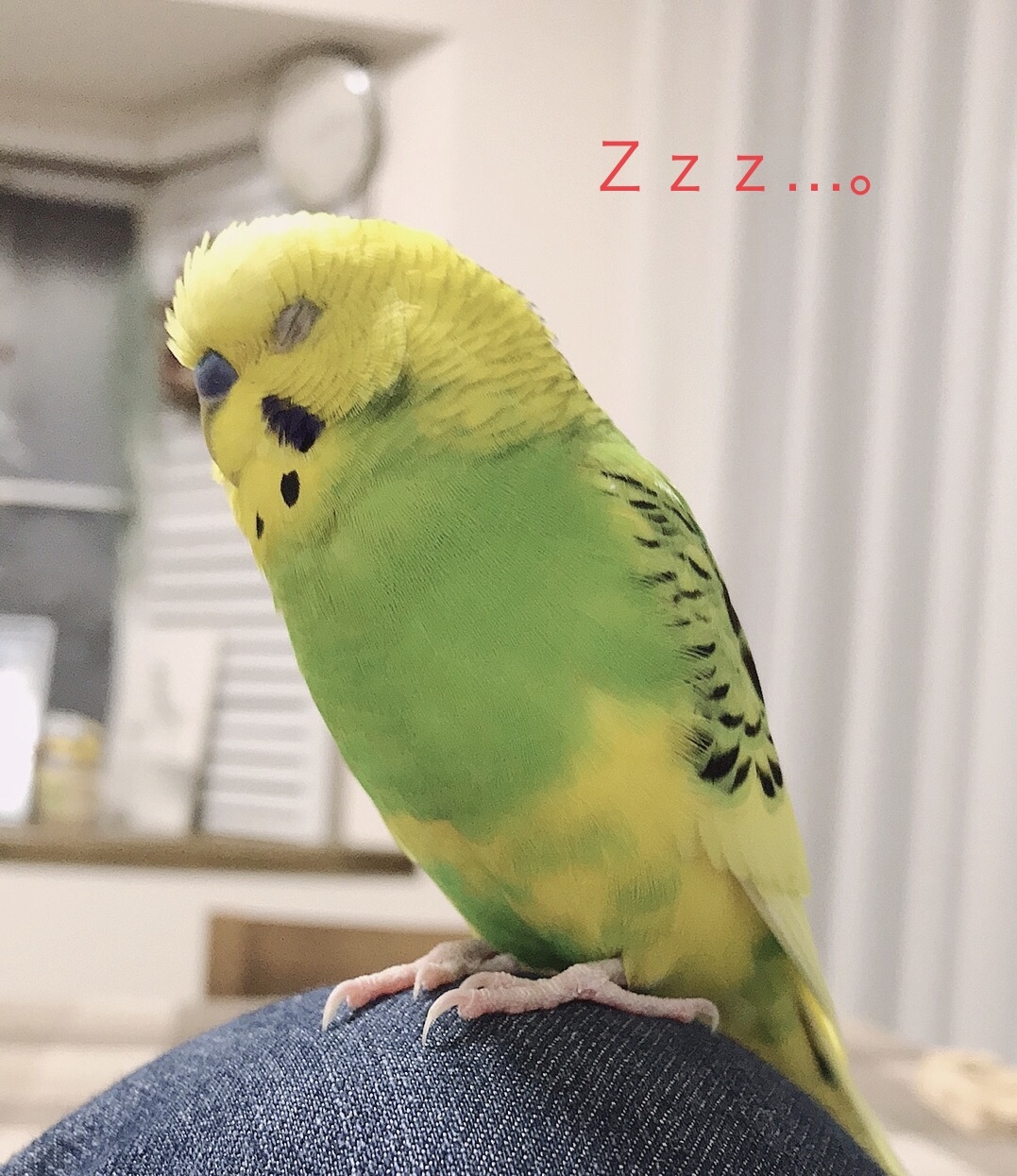 てくてく てくてく
