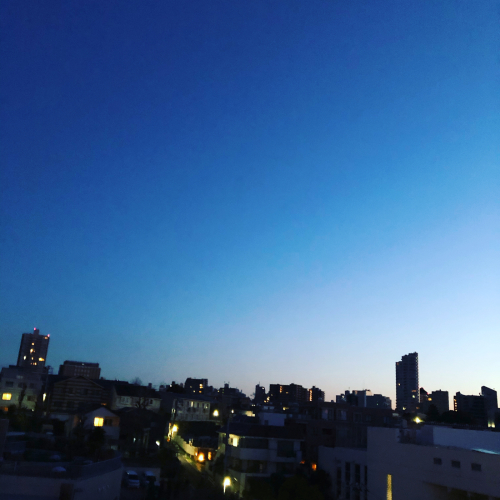 朝帰り_e0123401_23064662.jpg