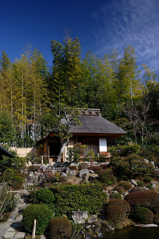 麗らかな日の等持院_f0032011_15491318.jpg