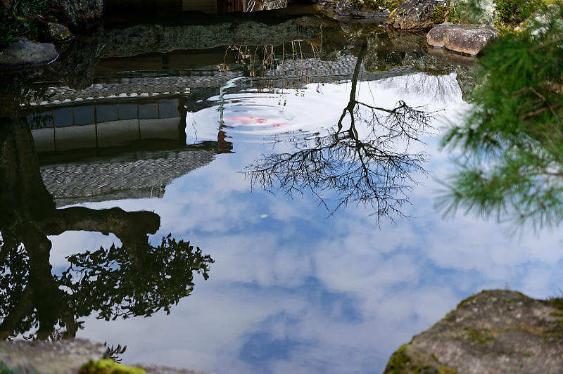 麗らかな日の等持院_f0032011_15550610.jpg