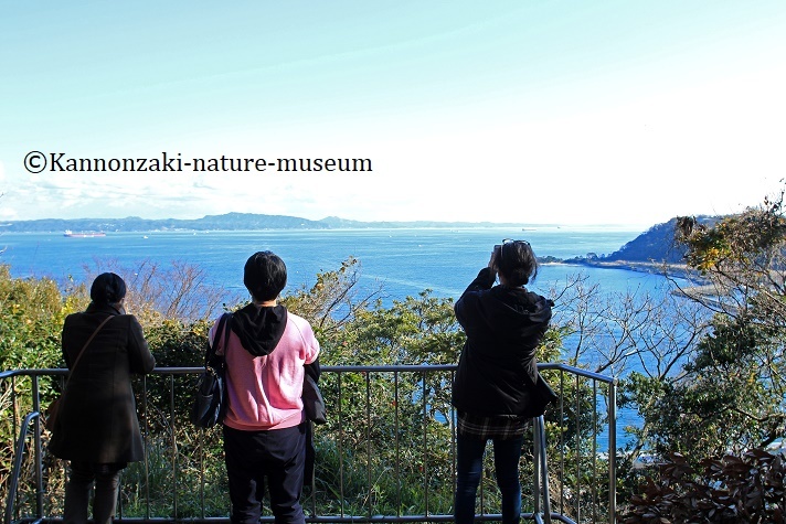 浦賀の町を歩く_a0386621_14332468.jpg