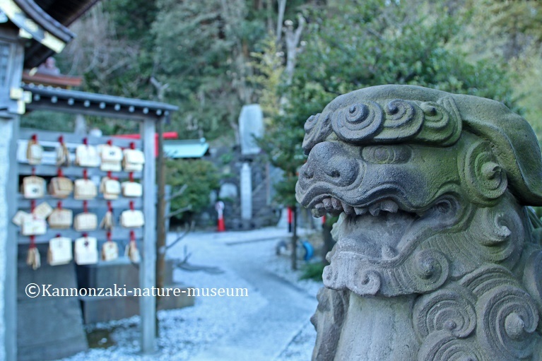 浦賀の町を歩く_a0386621_14334241.jpg