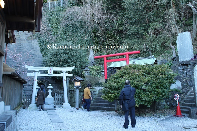 浦賀の町を歩く_a0386621_14334874.jpg