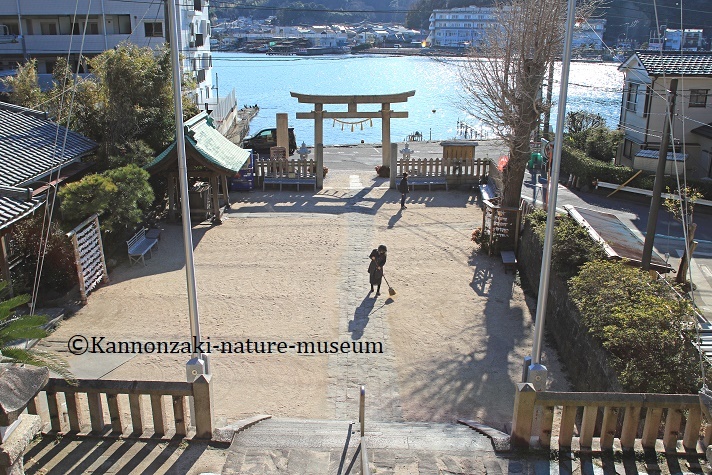 浦賀の町を歩く_a0386621_14542232.jpg