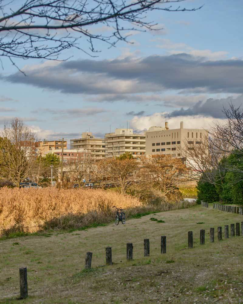 ✔ 加勢川上流の夕暮れ＝熊本市・江津湖_d0238245_16290570.jpg