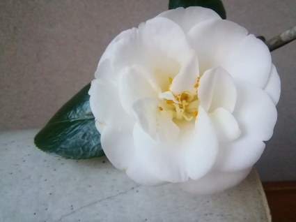藍のお雛様…_b0368362_22584725.jpg