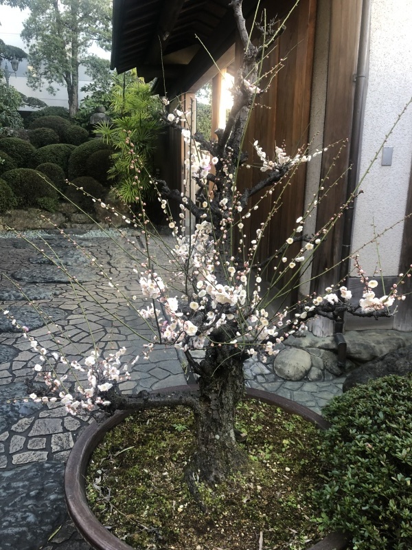 向き合って_b0351169_03230647.jpg