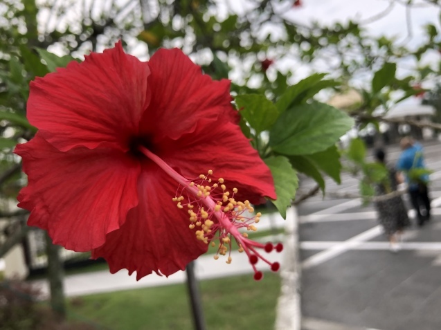５日目 リフレッシュ休暇_a0394574_21123610.jpeg