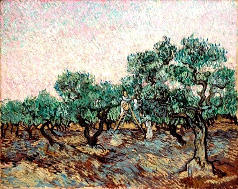 ボクらのアート ⁄ 丘を抜ける二本のポプラ Two Poplars in the ゴッホ