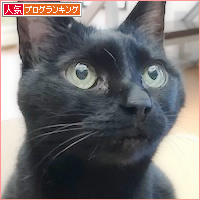 期待の箱娘_a0389088_18425400.jpg
