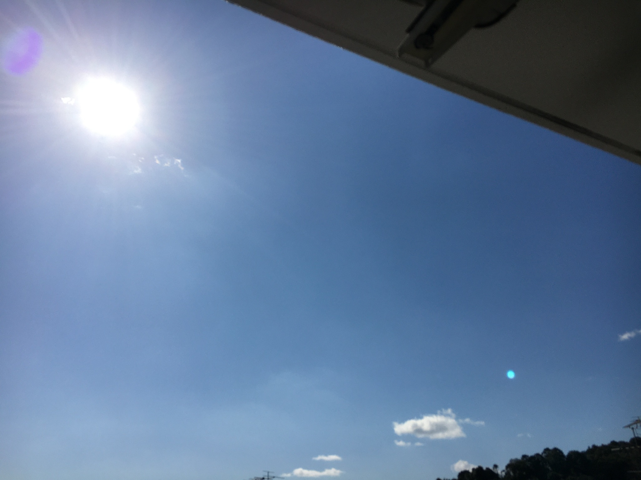 頂き物_f0347891_21155960.jpeg