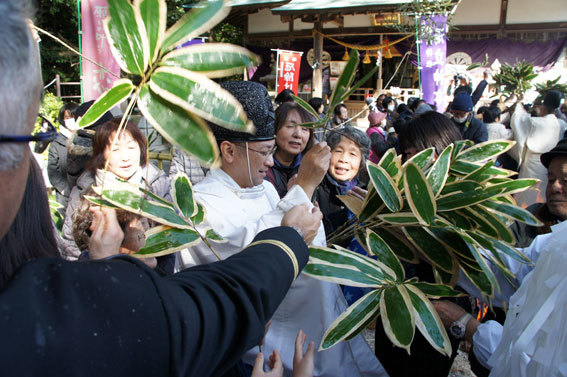 春を呼ぶ射山神社の「みゆ」_b0145296_16272758.jpg