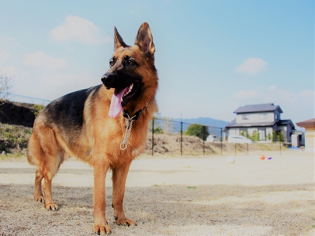 それは本当に必要か?_d0360206_00124170.jpg