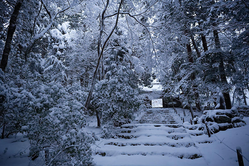 寒波到来!待望の雪景色@常照皇寺 其の一_f0032011_19073224.jpg