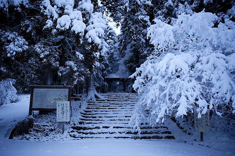 寒波到来!待望の雪景色@常照皇寺 其の一_f0032011_19073228.jpg