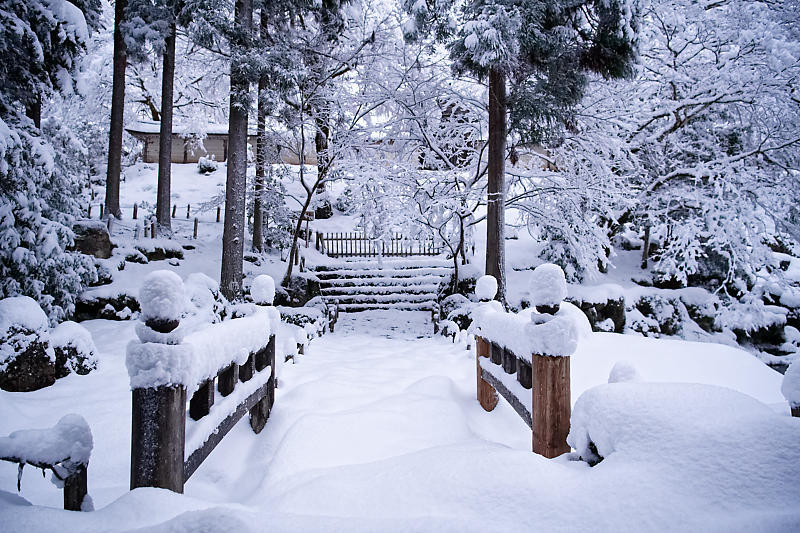 寒波到来!待望の雪景色@常照皇寺 其の一_f0032011_19073377.jpg