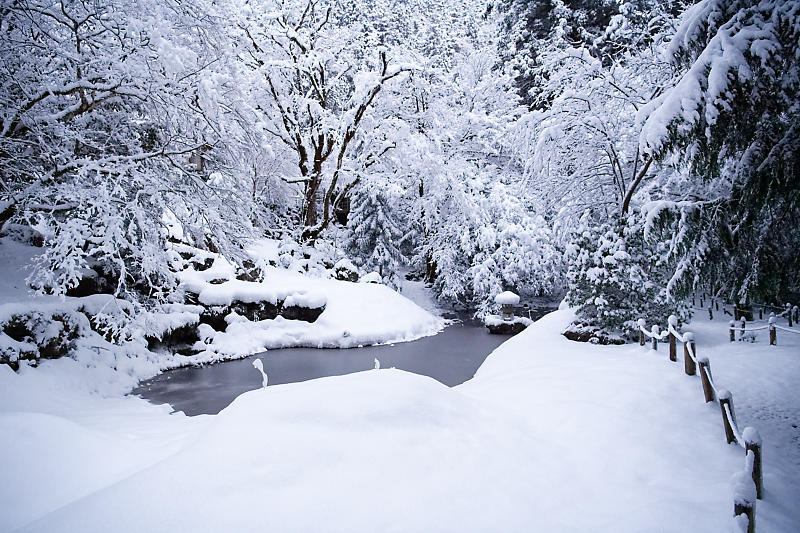 寒波到来!待望の雪景色@常照皇寺 其の一_f0032011_19091312.jpg