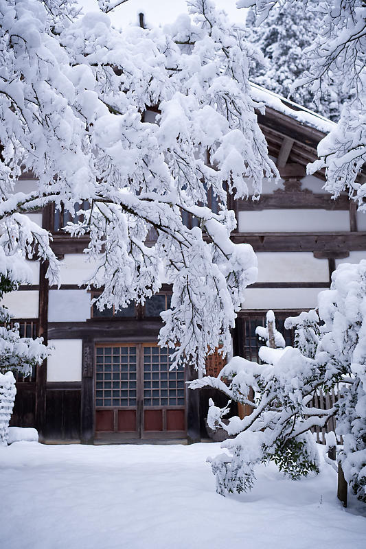 寒波到来!待望の雪景色@常照皇寺 其の一_f0032011_19091400.jpg