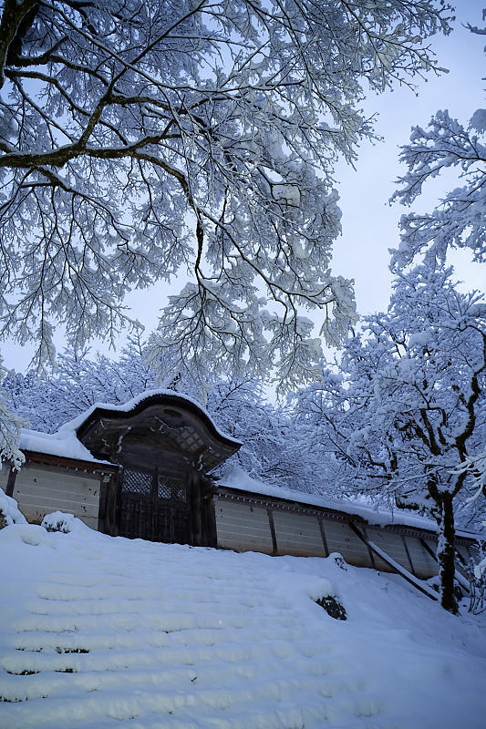 寒波到来!待望の雪景色@常照皇寺 其の一_f0032011_19091405.jpg