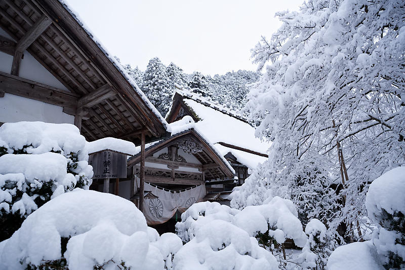 寒波到来!待望の雪景色@常照皇寺 其の一_f0032011_19091408.jpg