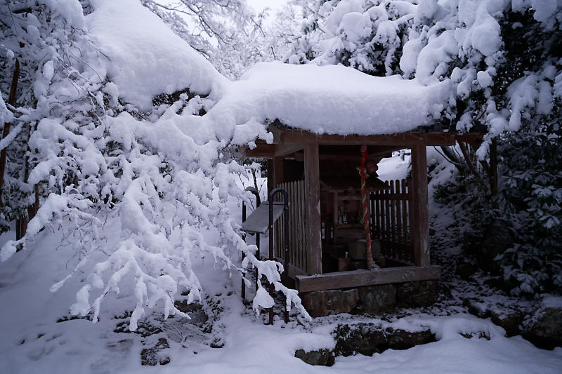 寒波到来!待望の雪景色@常照皇寺 其の一_f0032011_19091437.jpg