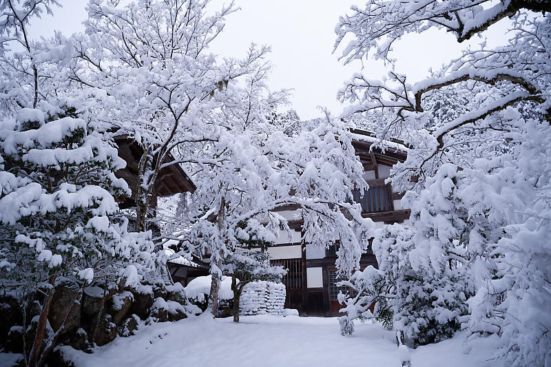 寒波到来!待望の雪景色@常照皇寺 其の一_f0032011_19091439.jpg