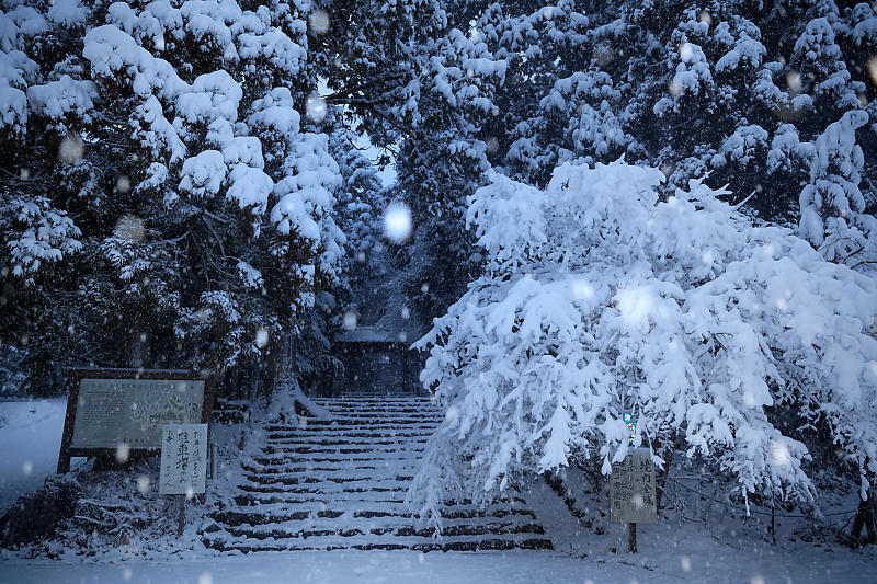 寒波到来!待望の雪景色@常照皇寺 其の一_f0032011_19111935.jpg