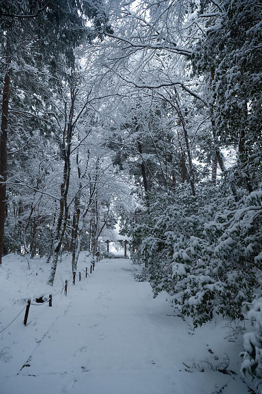 寒波到来!待望の雪景色@常照皇寺 其の一_f0032011_19111936.jpg