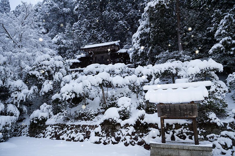 寒波到来!待望の雪景色@常照皇寺 其の一_f0032011_19111953.jpg