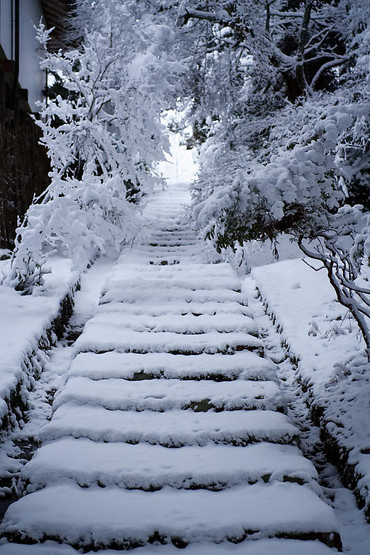 寒波到来!待望の雪景色@常照皇寺 其の一_f0032011_19111986.jpg