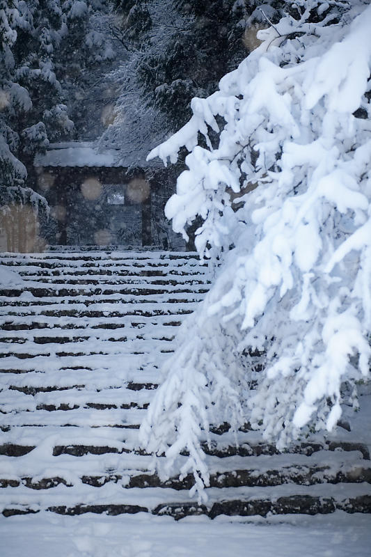 寒波到来!待望の雪景色@常照皇寺 其の一_f0032011_19111997.jpg