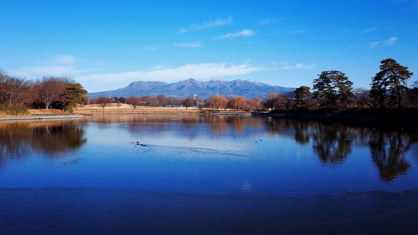 今日の大室公園・・・レンジャクの気配全く無し(´;ω;`)・・・赤城・浅間遠望を_a0031821_21011678.jpg
