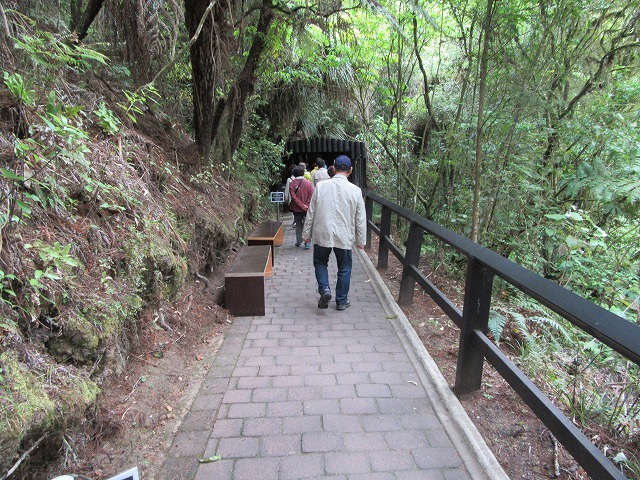 ニュージーランドツアー_e0072023_11361964.jpg